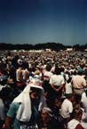 Sandy and crowd