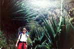 Lori and jungle