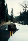 pebble on road
